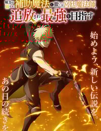 2025年日本动漫《队友太弱所以贯彻辅助的宫廷魔法师惨遭流放目标却是最强》连载至10