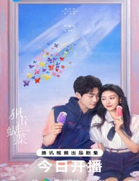 2025年国产大陆电视剧《狙击蝴蝶》连载至06