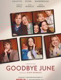 2025年英国剧情片《再见琼》HD英语中字