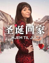 2025年挪威电视剧《圣诞寻伴 第3季》全8集