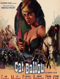 1965年美国经典喜剧片《狼城脂粉侠》蓝光国英双语中字