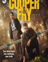 2025年英国电视剧《库珀和弗莱》全4集