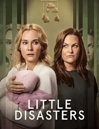 2025年英国电视剧《小灾难》全6集