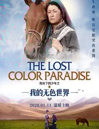 2020年国产剧情片《阳光下的少年之我的无色世界》HD国语中字