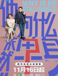 2025年国产大陆电视剧《他为什么依然单身》全16集