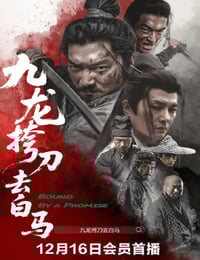 2025年国产武侠片《九龙挎刀去白马》HD国语中字