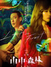 2022年中国台湾爱情片《山中森林》HD国语中字
