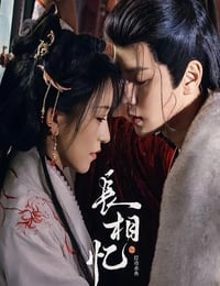 2025年国产大陆电视剧《长相忆之灯冶未央》连载至12