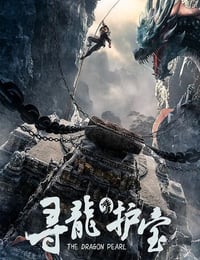 2025年国产冒险片《寻龙护宝》HD国语中字