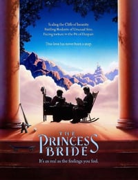 1987年美国经典爱情片《公主新娘》蓝光中英双字