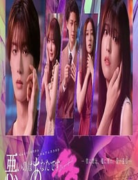 2025年日本电视剧《错的是你》连载至06