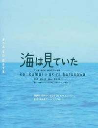 2002年日本经典爱情片《大海作证》蓝光日语中字