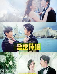 2019年国产喜剧片《合法伴侣》HD国语中字