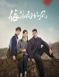 2025年国产大陆电视剧《依依向北风》全38集