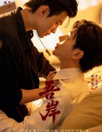 2025年国产大陆电视剧《吾岸》连载至14