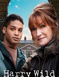 2023年爱尔兰电视剧《野探哈莉 第二季》全6集