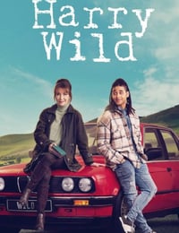 2024年爱尔兰电视剧《野探哈莉 第三季》全6集