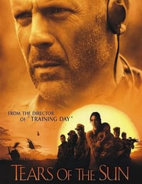 2003年美国经典动作片《太阳泪》蓝光国英双语中英双字