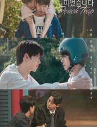 2025年韩国电视剧《桃花开好了》全8集