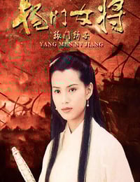 2001年国产经典武侠片《杨门女将之辕门斩子》HD国语无字