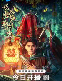 2026年国产大陆电视剧《长蛇娶妻》连载至08