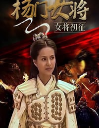 2001年国产经典武侠片《杨门女将之女将初征》HD国语无字