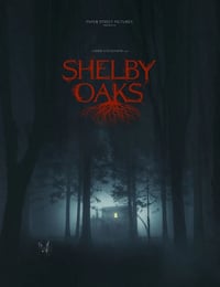 2024年美国惊悚片《寻踪迷镇》BD中英双字