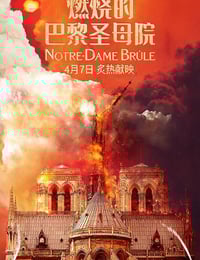 2022年法国惊悚片《燃烧的巴黎圣母院》BD法语中字
