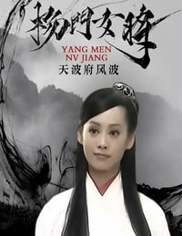 2001年国产经典武侠片《杨门女将之天波府风波》HD国语无字