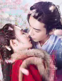 2019年国产大陆电视剧《东宫》全55集