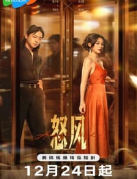 2025年国产大陆电视剧《怒风》全24集