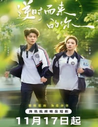 2025年国产大陆电视剧《逆时而来的你》全32集