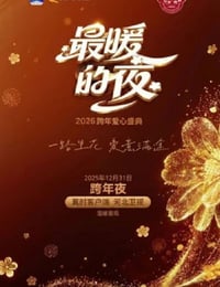 最暖的夜——2026跨年爱心盛典HD国语中字