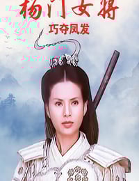 2001年国产经典武侠片《杨门女将之巧夺凤发》HD国语无字