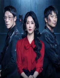 2025年国产大陆电视剧《消失的凶手》全16集