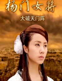 2001年国产经典武侠片《杨门女将之大破天门阵》HD国语无字