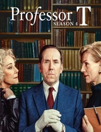 2025年英国电视剧《T教授 第四季》全6集