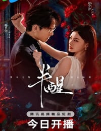 2026年国产大陆电视剧《半醒》连载至10