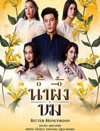 2025年泰国电视剧《苦蜜》连载至22