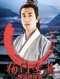 2001年国产经典武侠片《杨门女将之情定穆柯寨》HD国语无字