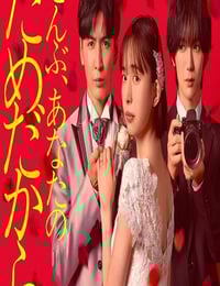 2026年日本电视剧《一切都是为了你》连载至01