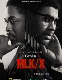 2024年美国电视剧《天才 第四季》全8集