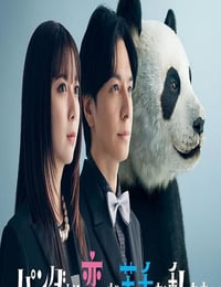 2026年日本电视剧《比熊猫更不擅长恋爱的我们》连载至04