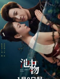 2026年国产大陆电视剧《池中物》全16集