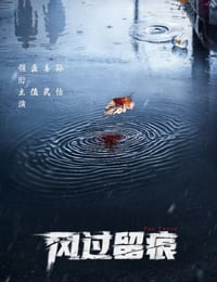 2026年国产大陆电视剧《风过留痕》连载至04