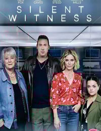 2025年英国电视剧《无声的证言 第二十八季》全10集