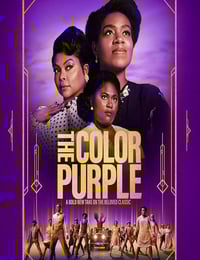 2023年美国剧情片《紫色》BD中英双字