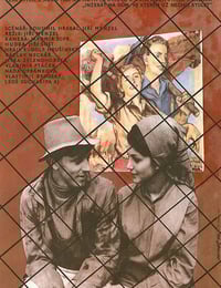 1969年捷克斯洛伐克经典喜剧片《失翼灵雀》蓝光中英双字