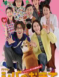 2025年日本电视剧《柴犬的规矩~我们这群狗痴编辑部~》连载至09
