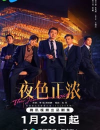 2026年国产大陆电视剧《夜色正浓》连载至12